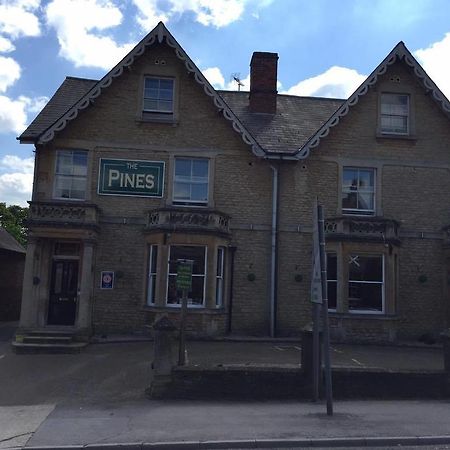 The Pines Guest Accommodation Chippenham (Wiltshire) Exterior foto